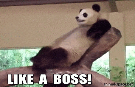 панда босс в экологии